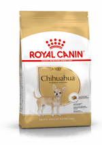 ad-chihuahua-packshot-bhn18