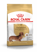 ad-dachshund-packshot-bhn18