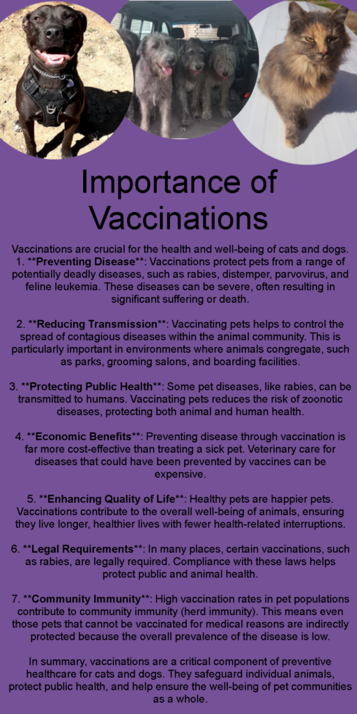 Importance of vaccinations